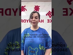 705-41-08240 wiellader 85ZA 85ZIV 90ZIV Versnellingspomp / pomp met variabele snelheid