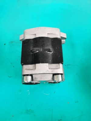 SGP1-F36-ALΦ10L Pompen van het de Hydraulicatoestel van H de Commerciële D50P D50S