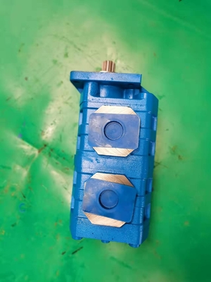 CBGJ2063+2063 2+2 14R CBGJ Original Gear Pump IJzer Aluminium Roestvrij staal