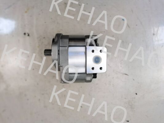 D41 Serie Hydraulische Tandwielpomp inclusief D41-45CC(R) D41-6E+40-28CCR D41-400C(R) met 1060 lpm Flow AISI Roestvrij Staal en 1 Jaar Garantie