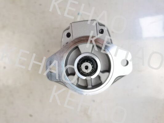 D41 Serie Hydraulische Tandwielpomp inclusief D41-45CC(R) D41-6E+40-28CCR D41-400C(R) met 1060 lpm Flow AISI Roestvrij Staal en 1 Jaar Garantie