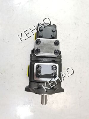 Hydraulische tandwielpomp APG22/APG32 Serie APG32-025-016-01R-VPU2-3 Hoogdruk Industrieel tandwielpomp olievervanging voor zware machines