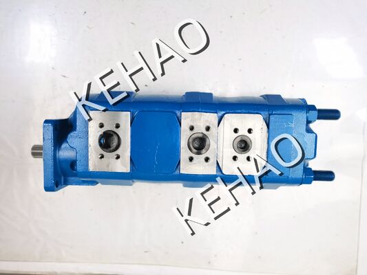 Factory Supply GPP1 GPP2 Series Hydraulic Gear Pump GPP2-C1C125AHN100AL540N1L Iron and Aluminum alloy materials Oil Transfer Pump certification OEM ODM