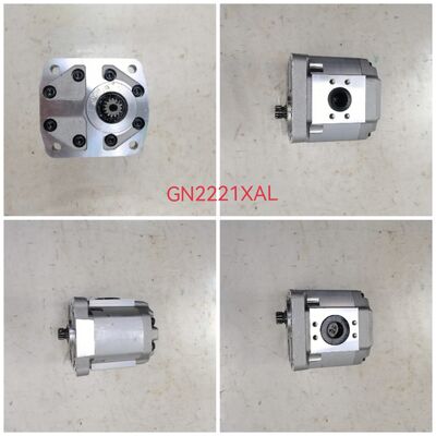NABCO Gear Pump Hydraulische Pomp GN2221XAL Gegote ijzer en aluminium legeringen Mini Pomp voor bouwmachines Fabriek Levering één jaar garantie