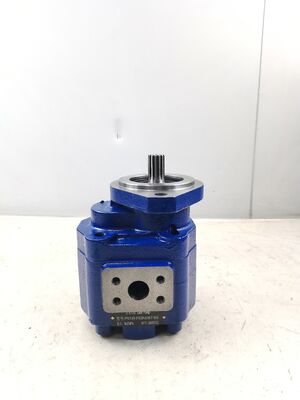 KEHAO Hydraulische Tandwielpomp P5100-F63N03676G Reparatie Hydraulische Onderdelen Gietijzer Aluminiumlegering Olie Tandwielpomp Voor Graafmachine Apparatuur ISO9001 gecertificeerd
