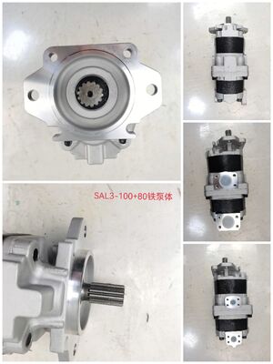 Fabriekslevering Tandwielpomp Hydraulische pomp gebruikt in zware dumpmachines en voertuigonderdeelnummer SAL3-100+80 ijzer- en aluminiumlegeringen hydraulische oliepomp