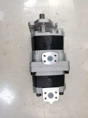 Fabriekslevering Tandwielpomp Hydraulische pomp gebruikt in zware dumpmachines en voertuigonderdeelnummer SAL3-100+80 ijzer- en aluminiumlegeringen hydraulische oliepomp