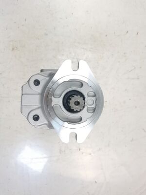 Aanpasbare Komatsu Hydraulische Pomp Gear Pomp SAR1/ SAR3/ SAL1/ SAL3 Serie SAR12+12 1+2 12T L Gietijzer Aluminium legeringsmaterialen