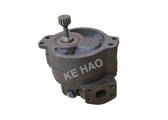 1 Hydrotoestelpomp voor de Tractor Zwarte Kleur van de Kipwagennivelleermachine 1 Jaargarantie