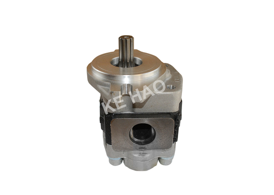 Pomp de met lange levensuur van het Aluminiumtoestel/Roterende Toestelpomp cbhza-f36-AF Φ 10/13T