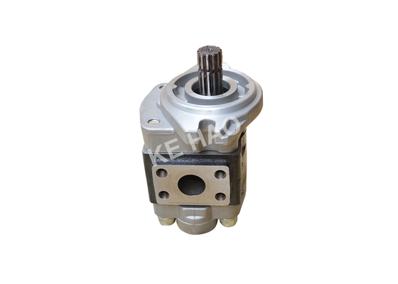 Pomp de met lange levensuur van het Aluminiumtoestel/Roterende Toestelpomp cbhza-f36-AF Φ 10/13T