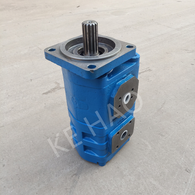 Compacte Originele het Toestelpomp van CBGJ32/32 CBGJ40/40 CBGJ50/50 CBGJ63/63 voor Techniekmachines en Voertuig