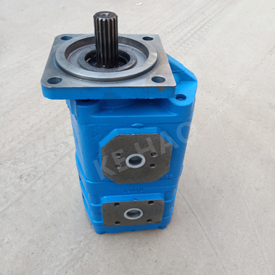 Van de de Pomp Vierkante dekking van CBGJ de Dubbele Pomp van het de Lat Compacte Originele Toestel voor Techniekmachines en Voertuig