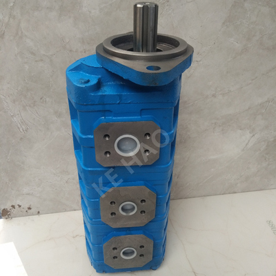 Van de de Pompruit van CBGJ Drievoudige van de de dekkingslat Compacte Originele het Toestelpomp voor Techniekmachines en Voertuig