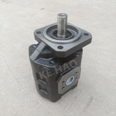 Van de de Pomp Vierkante dekking van CBGJ Enige zeer belangrijke Compacte Originele het Toestelpomp vlak voor Techniekmachines en Voertuig
