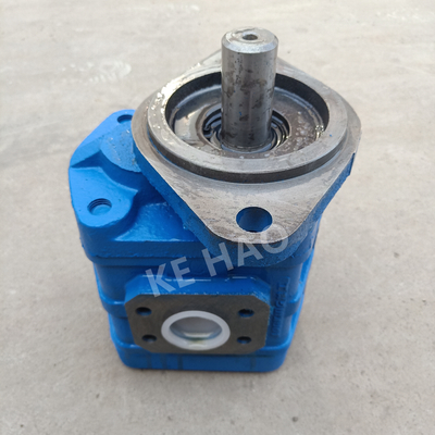 Van de de Pompruit van CBGJ de Enige Pomp van het de dekkings vlak zeer belangrijke Blauwe Compacte Originele Toestel voor Techniekmachines en Voertuig