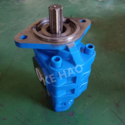 Van de de Pompruit van CBGJ Dubbele van de de dekkingslat Blauwe Compacte Originele het Toestelpomp voor Techniekmachines en Voertuig
