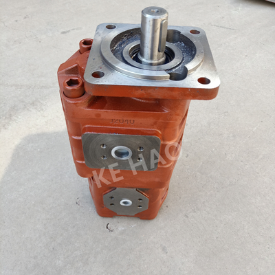 Van de de Pomp Vierkante dekking van CBGJ Dubbele zeer belangrijke Rode Compacte Originele het Toestelpomp vlak voor Techniekmachines en Voertuig