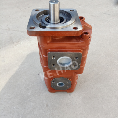 Van de de Pomp Vierkante dekking van CBGJ Dubbele zeer belangrijke Rode Compacte Originele het Toestelpomp vlak voor Techniekmachines en Voertuig