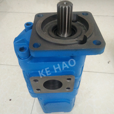 Van de de Pomp Vierkante dekking van CBGJ de Dubbele Pomp van het de Lat Blauwe Compacte Originele Toestel voor Techniekmachines en Voertuig