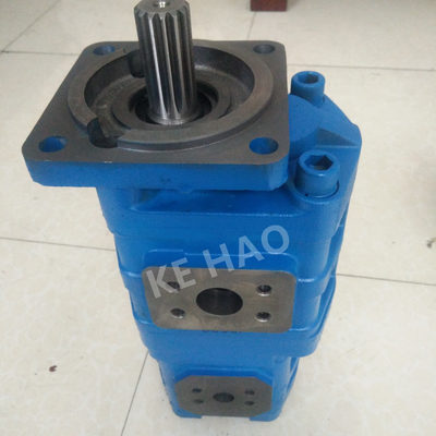 Van de de Pomp Vierkante dekking van CBGJ de Dubbele Pomp van het de Lat Blauwe Compacte Originele Toestel voor Techniekmachines en Voertuig