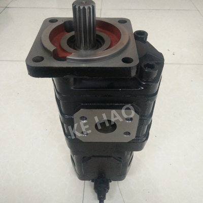 Van de de Pomp Vierkante dekking van CBGJ de Dubbele Pomp van het de Lat Zwarte Compacte Originele Toestel voor Techniekmachines en Voertuig