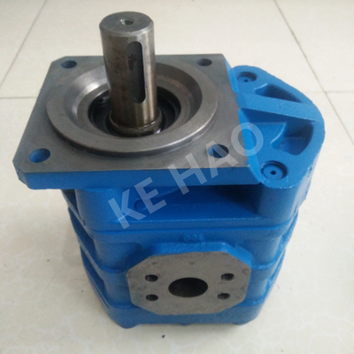 Van de de Pompruit van CBGJ de Enige Pomp van het de dekkings vlak zeer belangrijke Blauwe Compacte Originele Toestel voor Techniekmachines en Voertuig