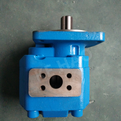 OEM Hydrotoestel Hydraulische Pompen/van het Hoge PrecisieGietijzer Toestelpomp