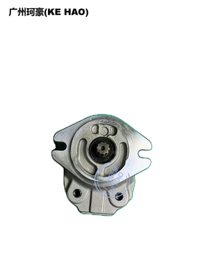 De Pompassemblage van Standard 705-22-26260 D41E D41P
