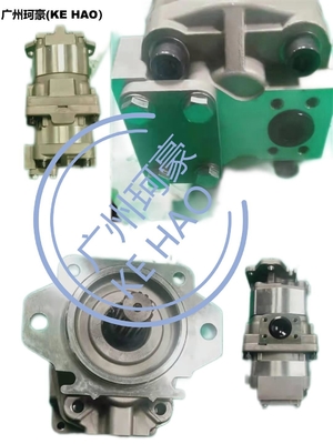 De Pomp Assy D155A D155AX HM400 van SAR100 705-22-40160 KOMATSU