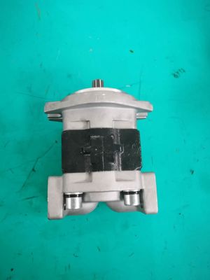 SGP1A-25-AFΦ9 hydraulische Toestelpomp 175-13-23500 D135A D155A