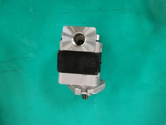 De standaardpomp van het Ijzer Materiële SGP1AF25-ALΦ9 L Toestel