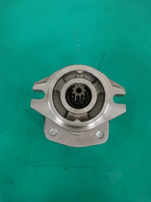 OEM de Reeks Siver van de Toestelpomp SGP1AF25-ALΦ9 R SGP en Zwarte