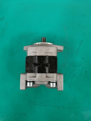 OEM de Reeks Siver van de Toestelpomp SGP1AF25-ALΦ9 R SGP en Zwarte