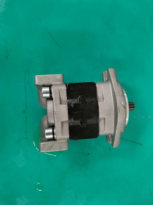 OEM de Reeks Siver van de Toestelpomp SGP1AF25-ALΦ9 R SGP en Zwarte
